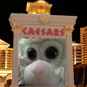 caesarsapp3